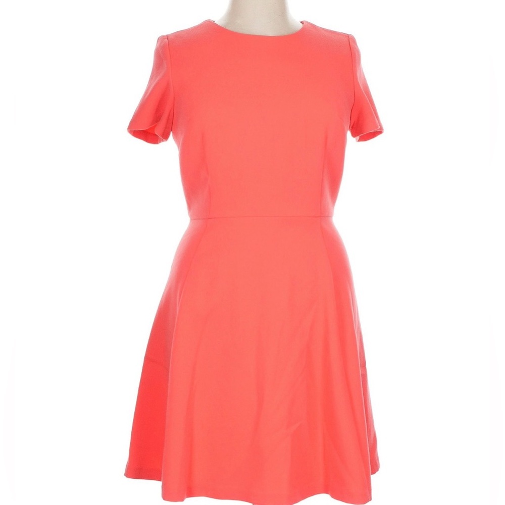 Eliza J Fit and Flare Dresz